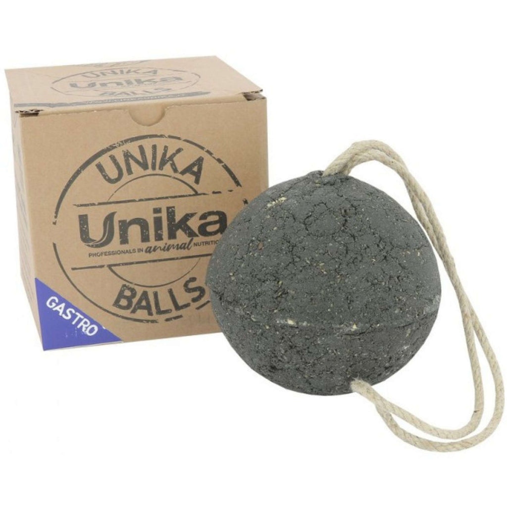 Unika Pelotas Gastro Gastro