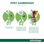 Advantage Advantage 80 Spot-On Gato 4-8kg