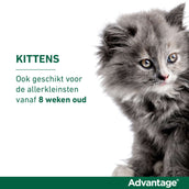 Advantage Advantage 80 Spot-On Gato 4-8kg