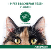 Advantage Advantage 80 Spot-On Gato 4-8kg