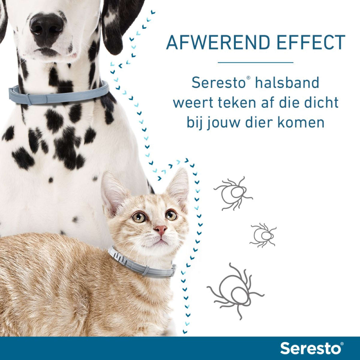 Seresto Collar Antipulgas y Garrapatas Perro Grande a partir de 8kg