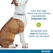 Seresto Collar Antipulgas y Garrapatas Perro pequeño hasta 8kg