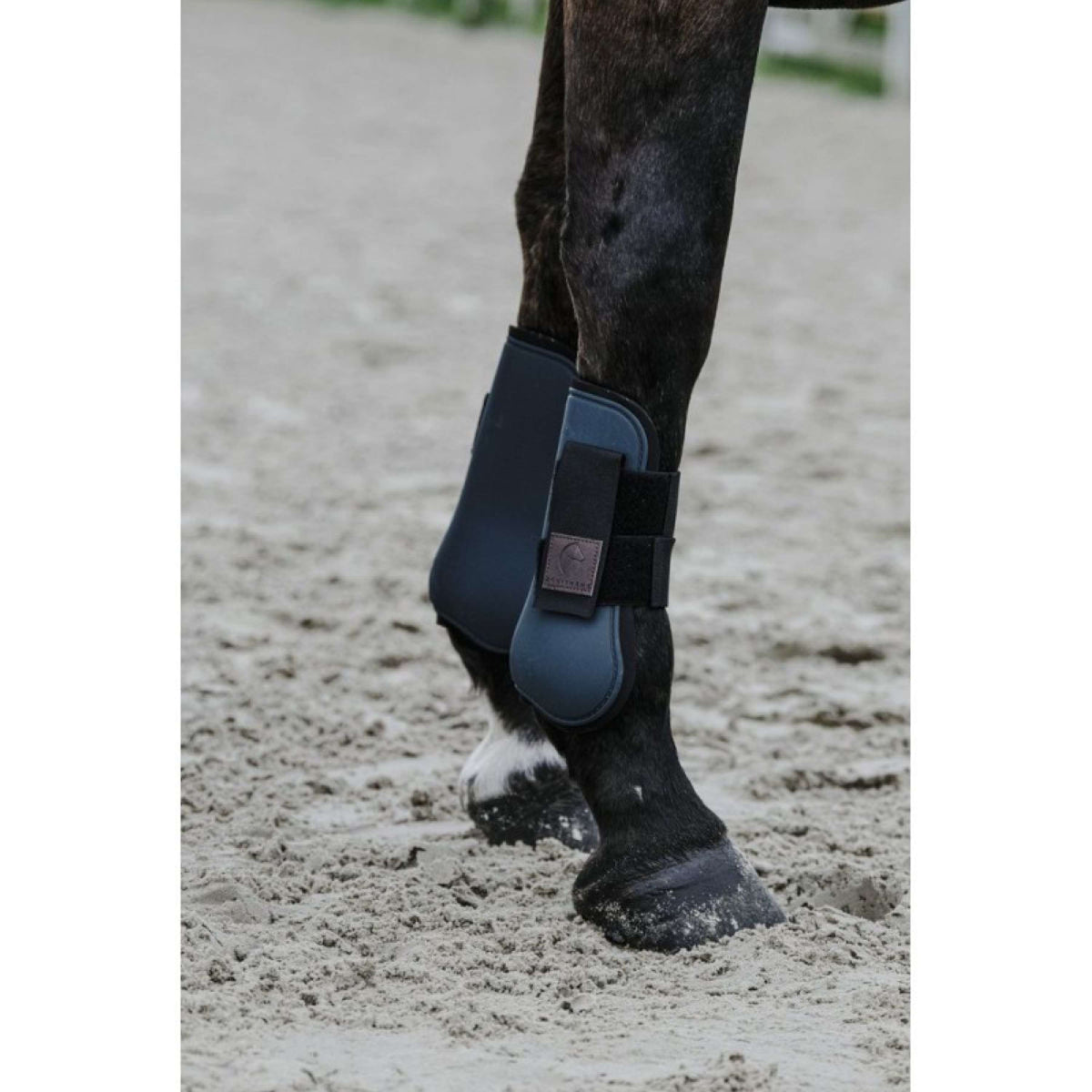 EQUITHÈME Botas para tendones Verde