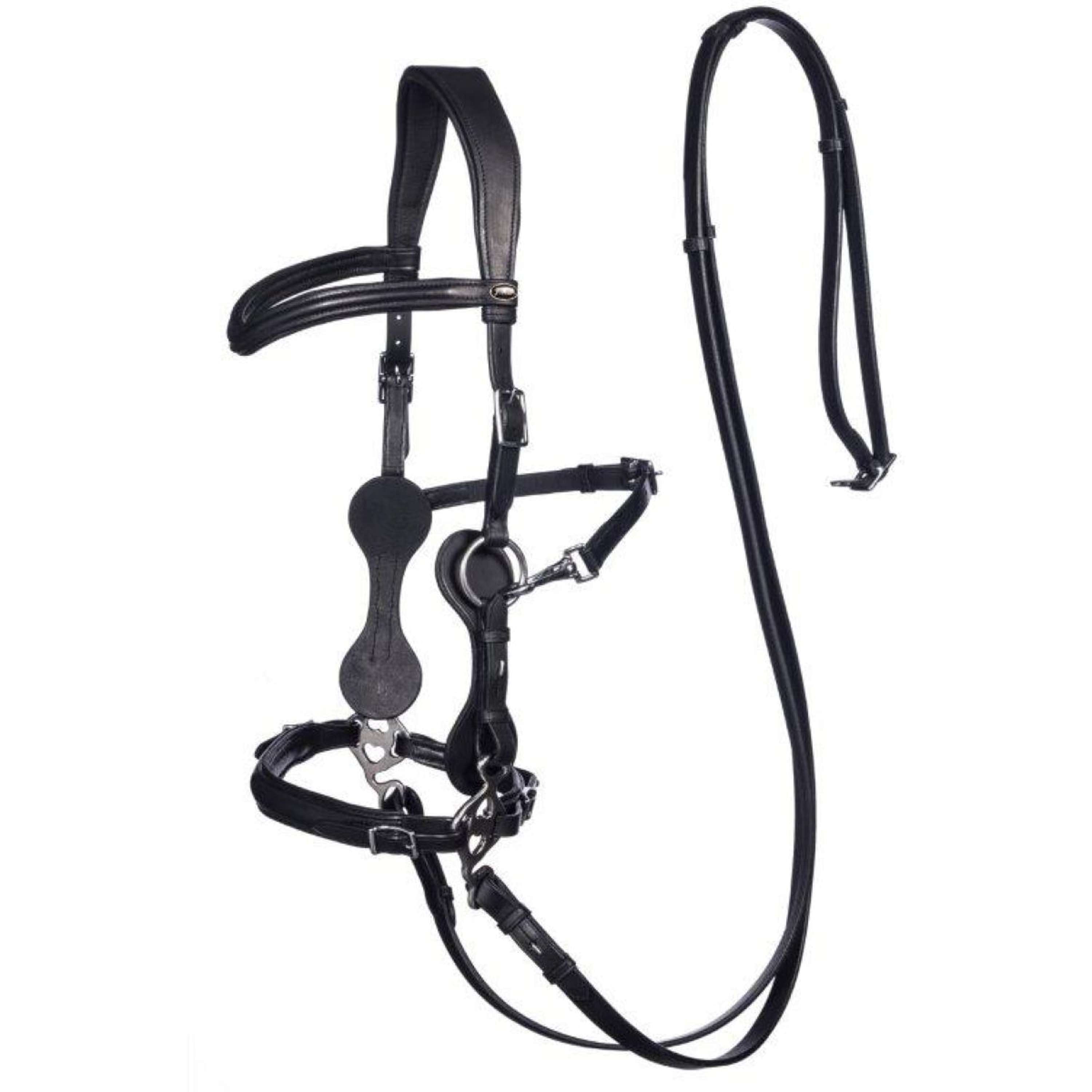 F.R.A. Hackamore Hackamore Calli Negro