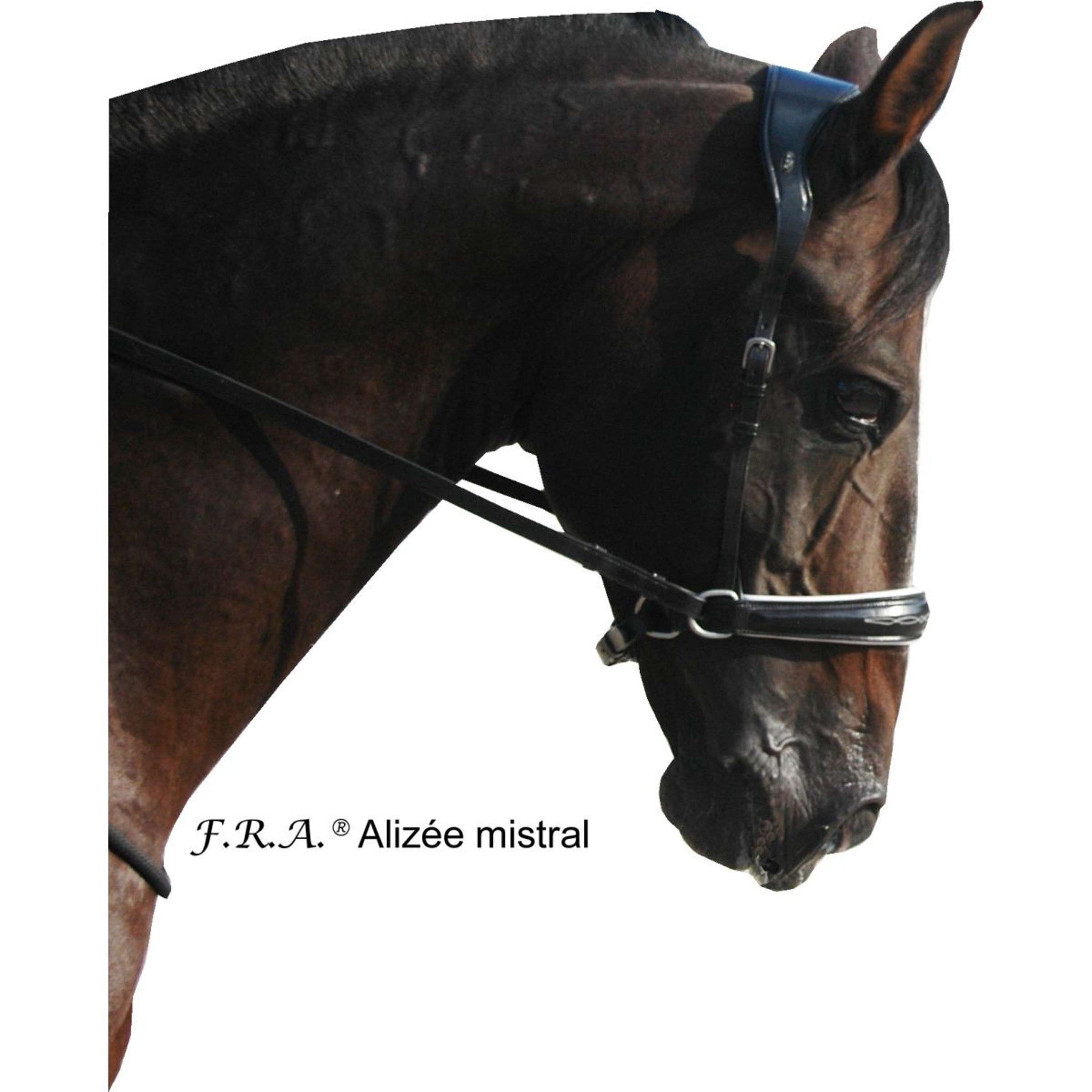 F.R.A. Brida sin Bocado Alizée Mistral Side Pull Rein in Goma Negro/Blanco F.R.A. Brida sin Bocado Alizée Mistral Side Pull Rein in Goma Negro/Blanco