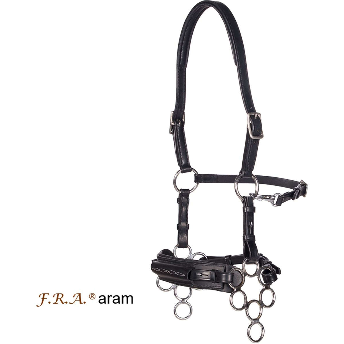 F.R.A. Hackamore Hackamore Aram Negro
