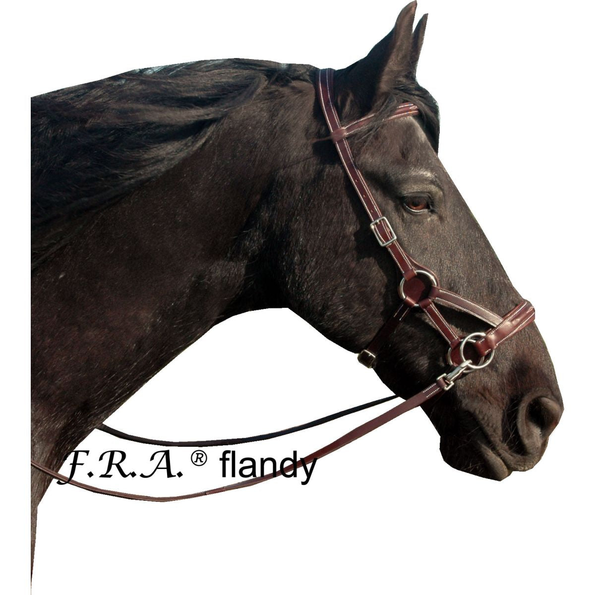 F.R.A. Brida sin Bocado Flandy Side Pull Marron