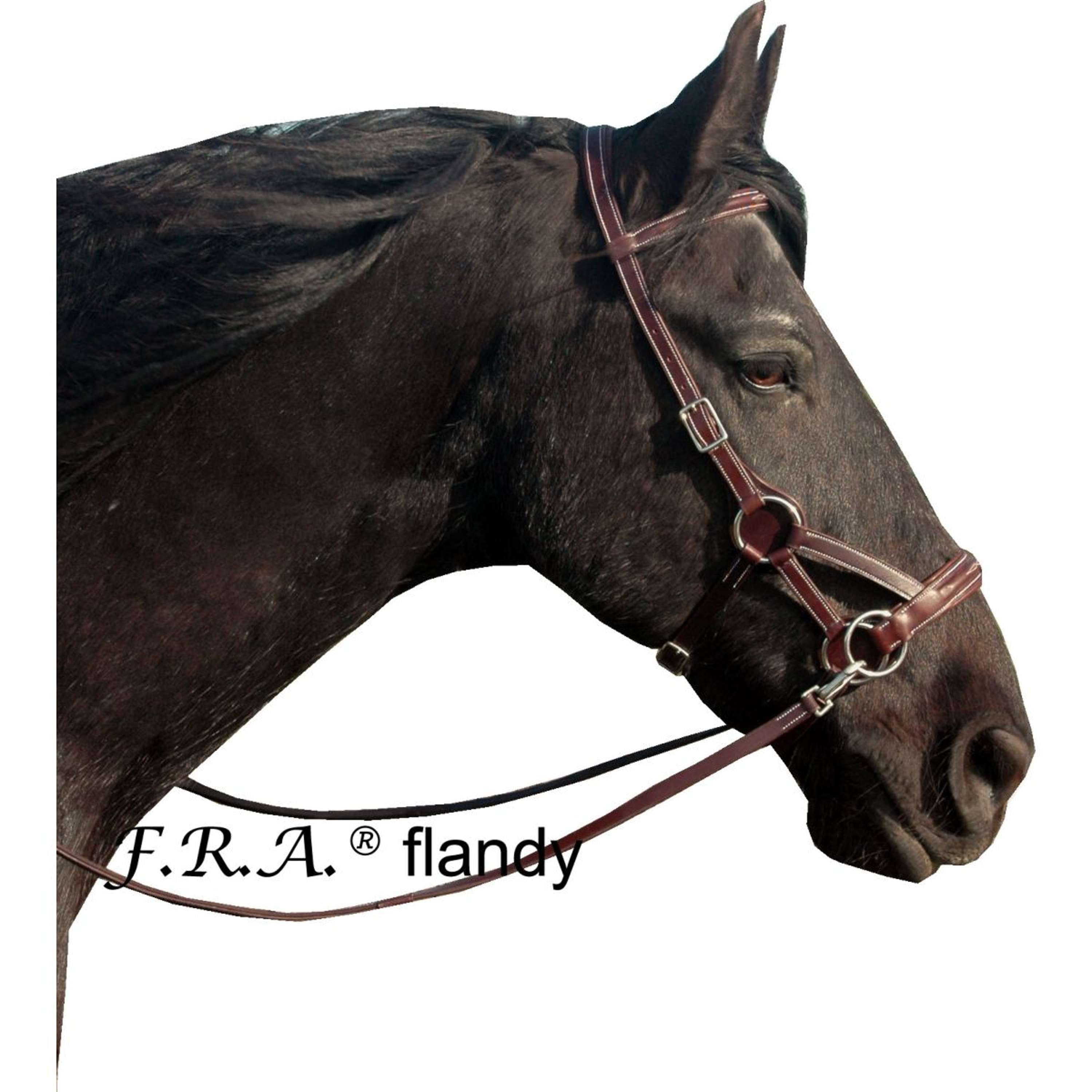 F.R.A. Brida sin Bocado Flandy Side Pull Marron