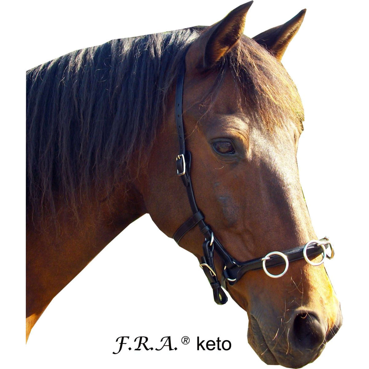 F.R.A. Cabezón Keto Cuero Negro