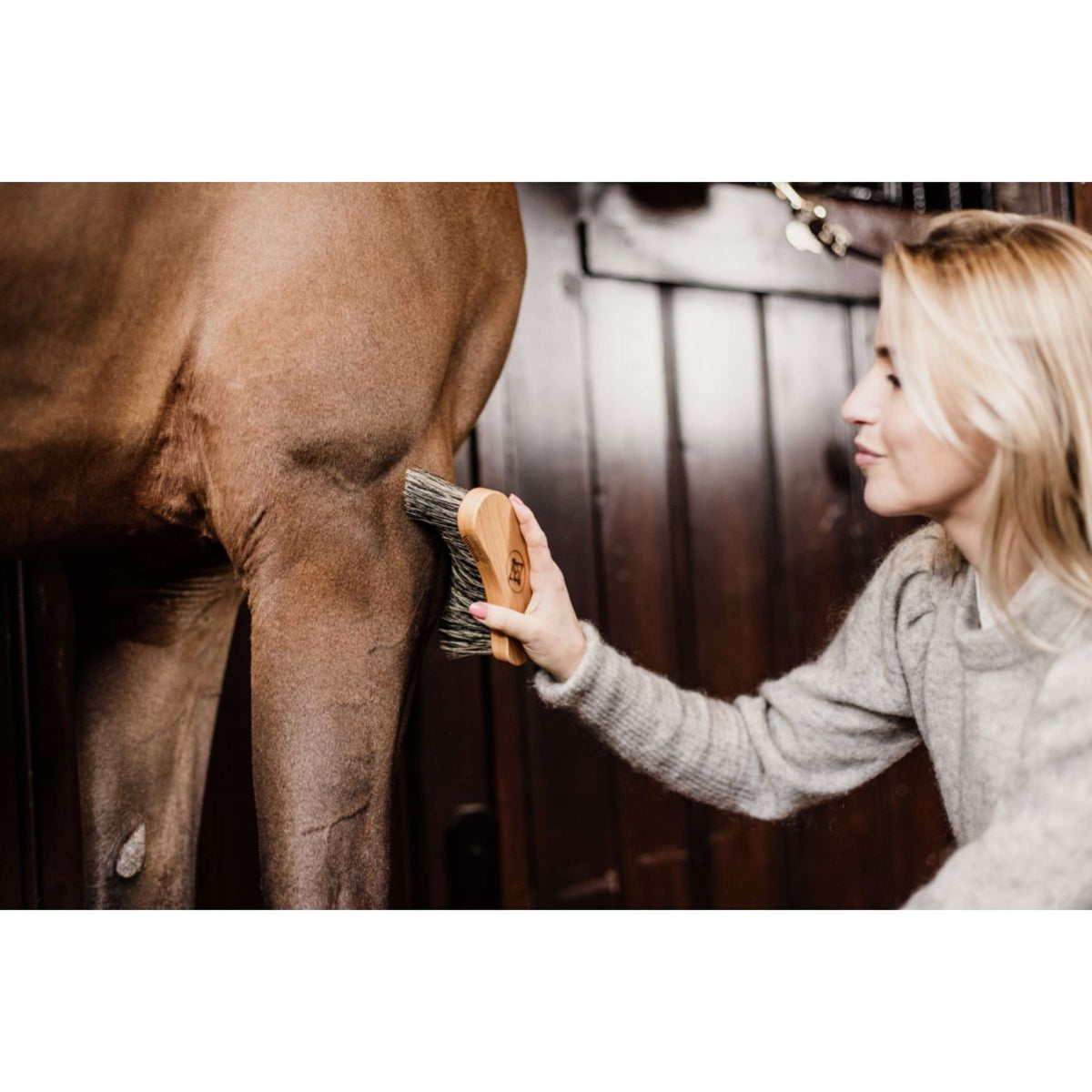 Grooming Deluxe by Kentucky Cepillo