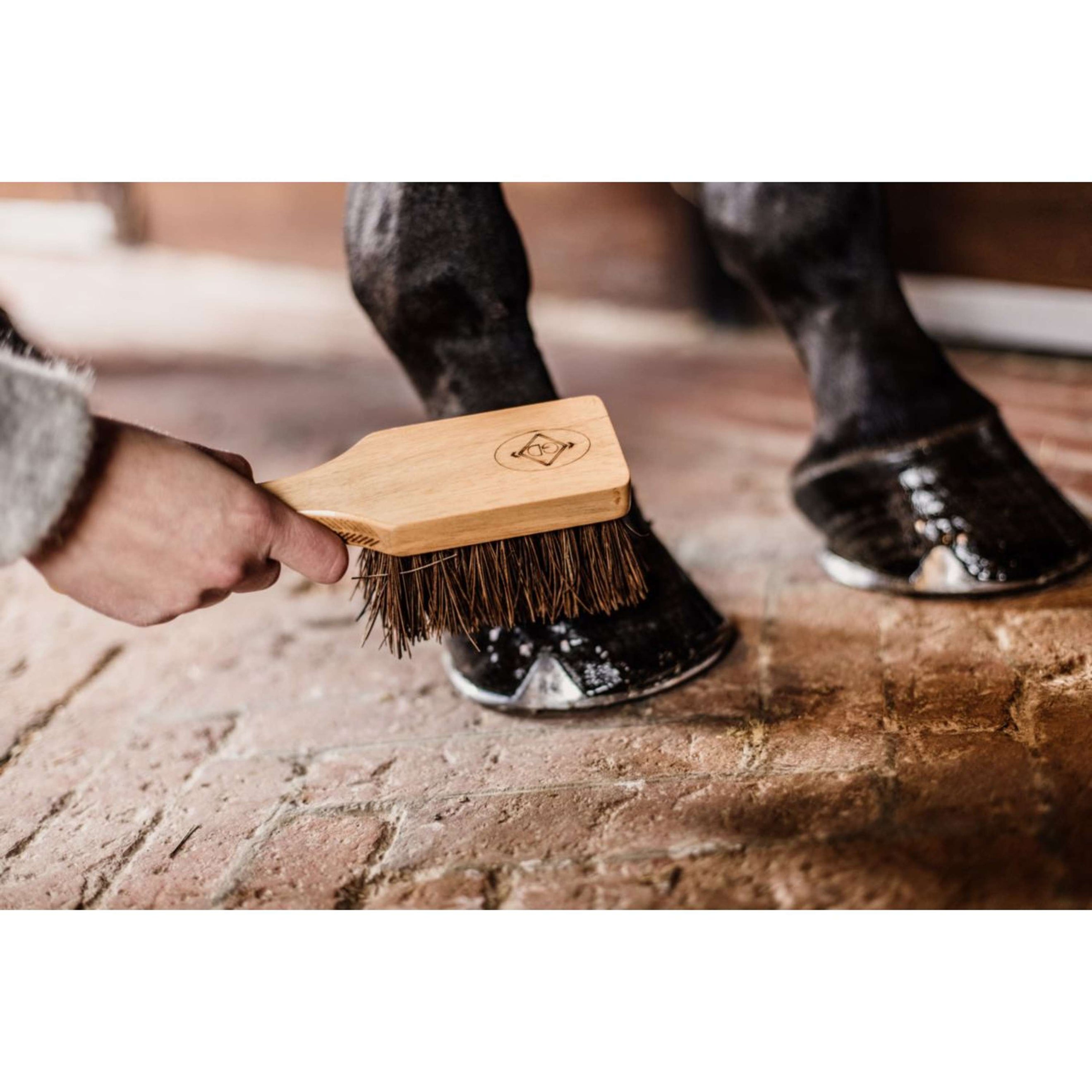 Grooming Deluxe by Kentucky Cepillo para cascos