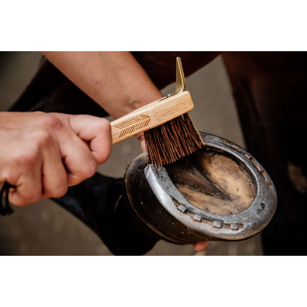Grooming Deluxe by Kentucky Limpia Cascos