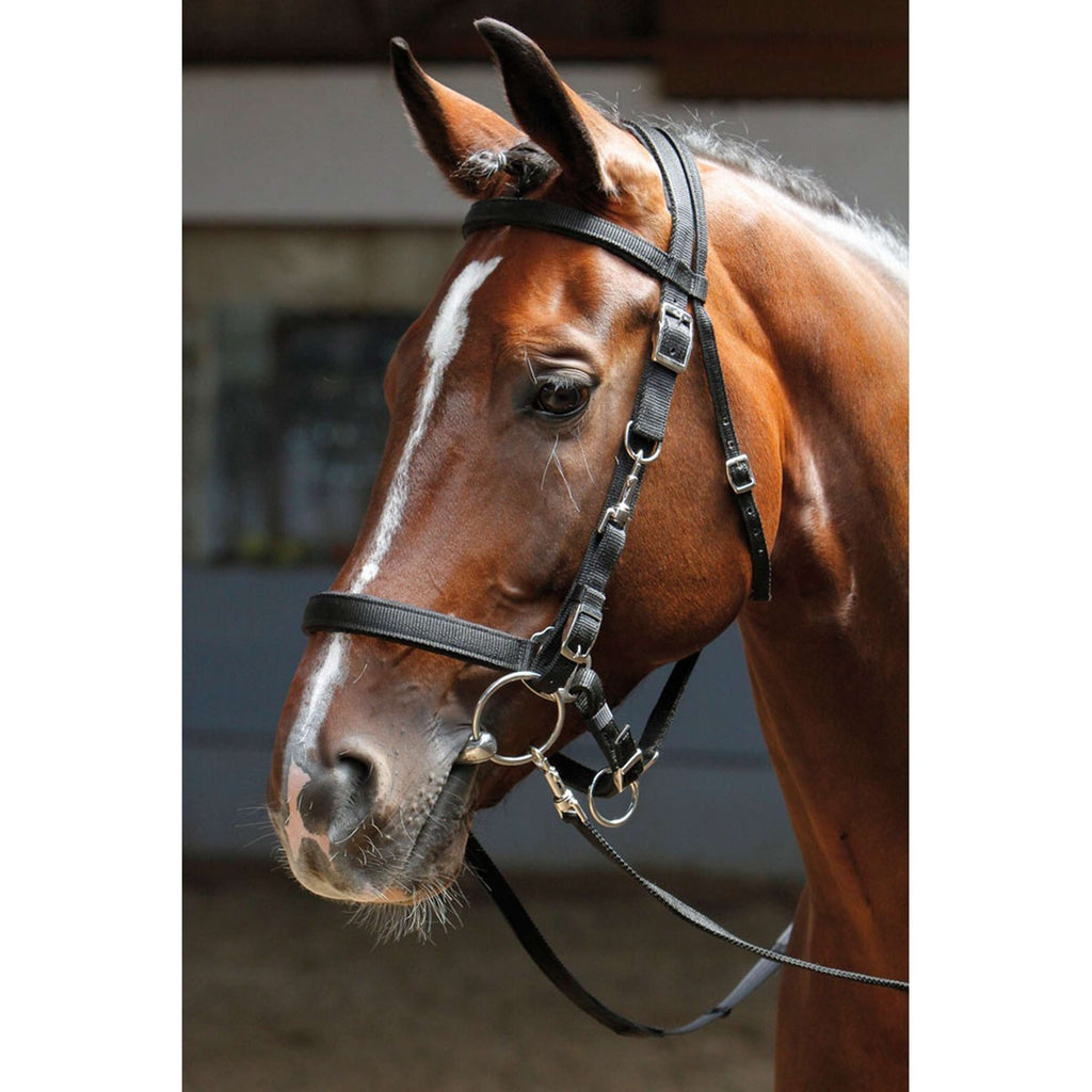 Harry's Horse Cabezada/Jaquima Negro