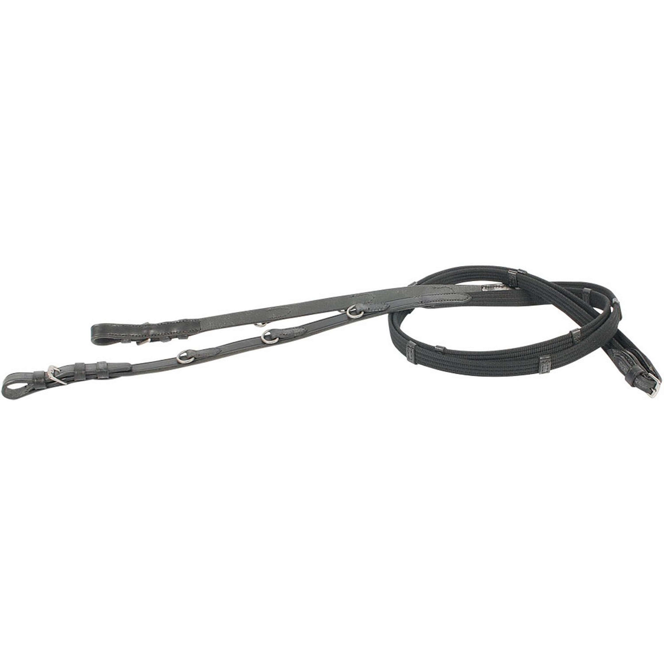 Harry's Horse Enrén Thiedeman Negro