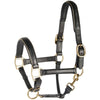 Harry's Horse Cabestro Cuero con Ribete Negro/Oro
