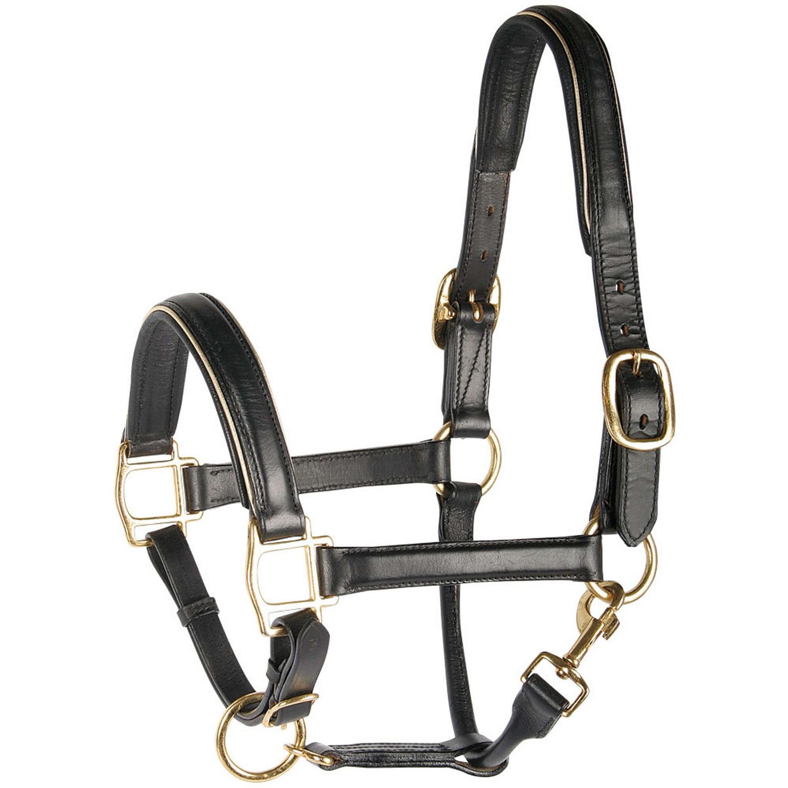 Harry's Horse Cabezada Leder Bies Oro