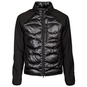 Harry's Horse Chaqueta Softshell Liciano Padded Negro