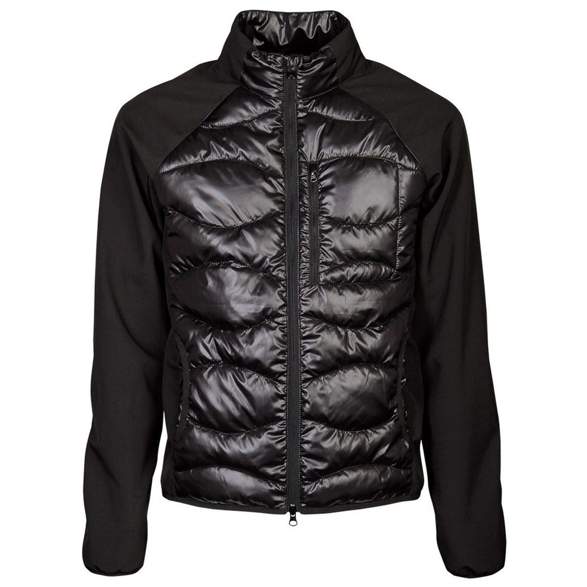 Harry's Horse Chaqueta Softshell Liciano Padded Negro