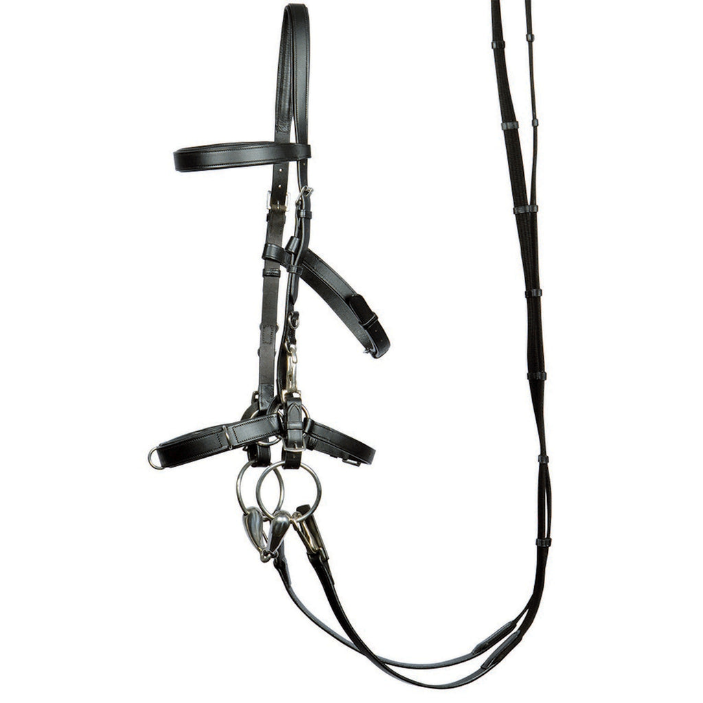 Harry's Horse Brida Leder Negro