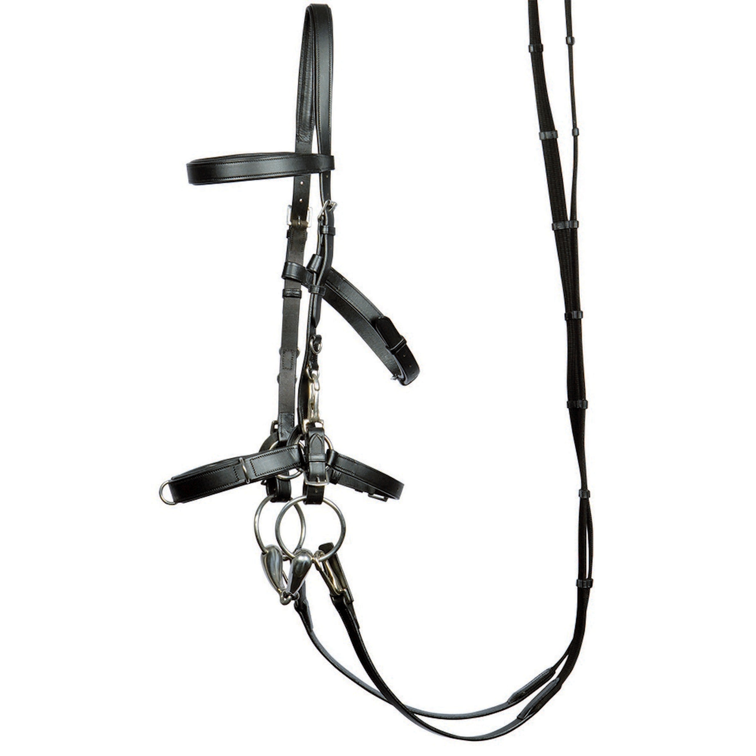 Harry's Horse Brida Leder Negro