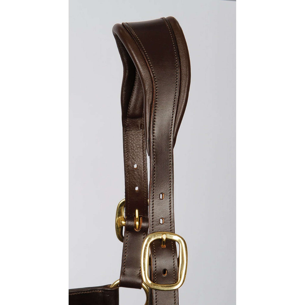 Harry's Horse Cabestro Marron