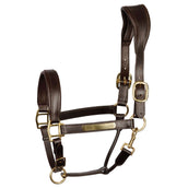 Harry's Horse Cabezada Marron