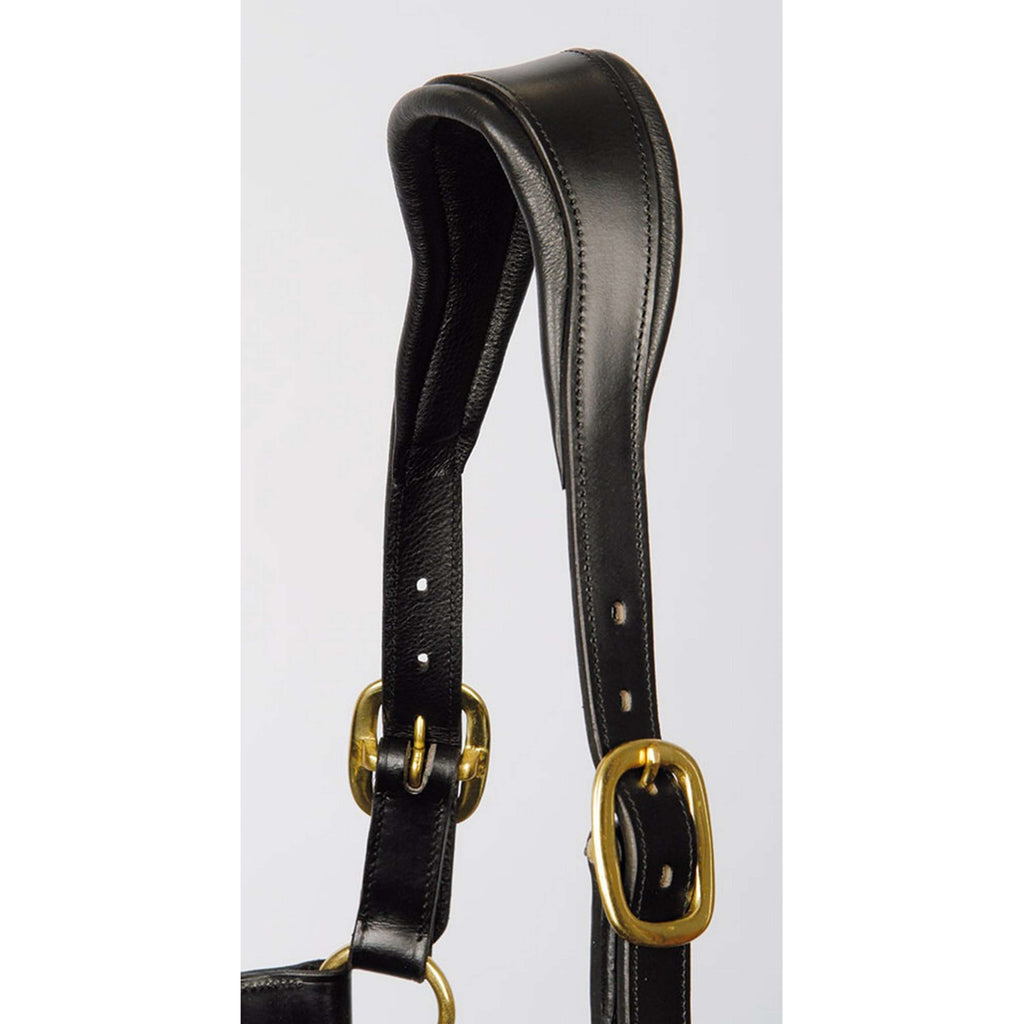 Harry's Horse Cabestro Cuero Anatómico Negro