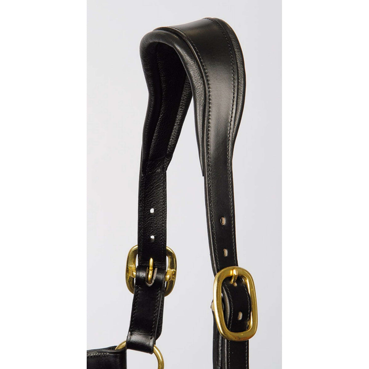 Harry's Horse Cabezada Negro