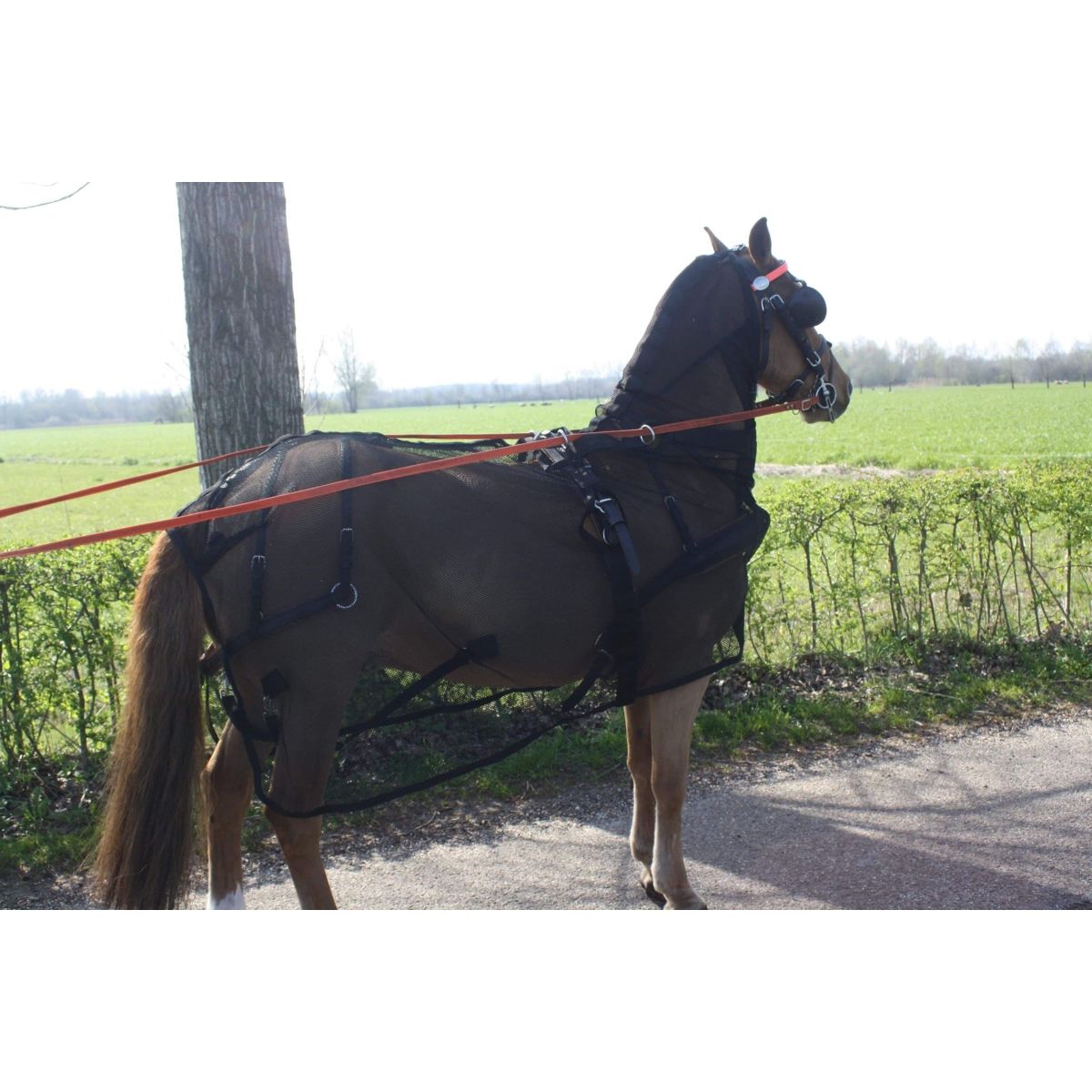 HB Cobija Antimoscas para Hombres Negro