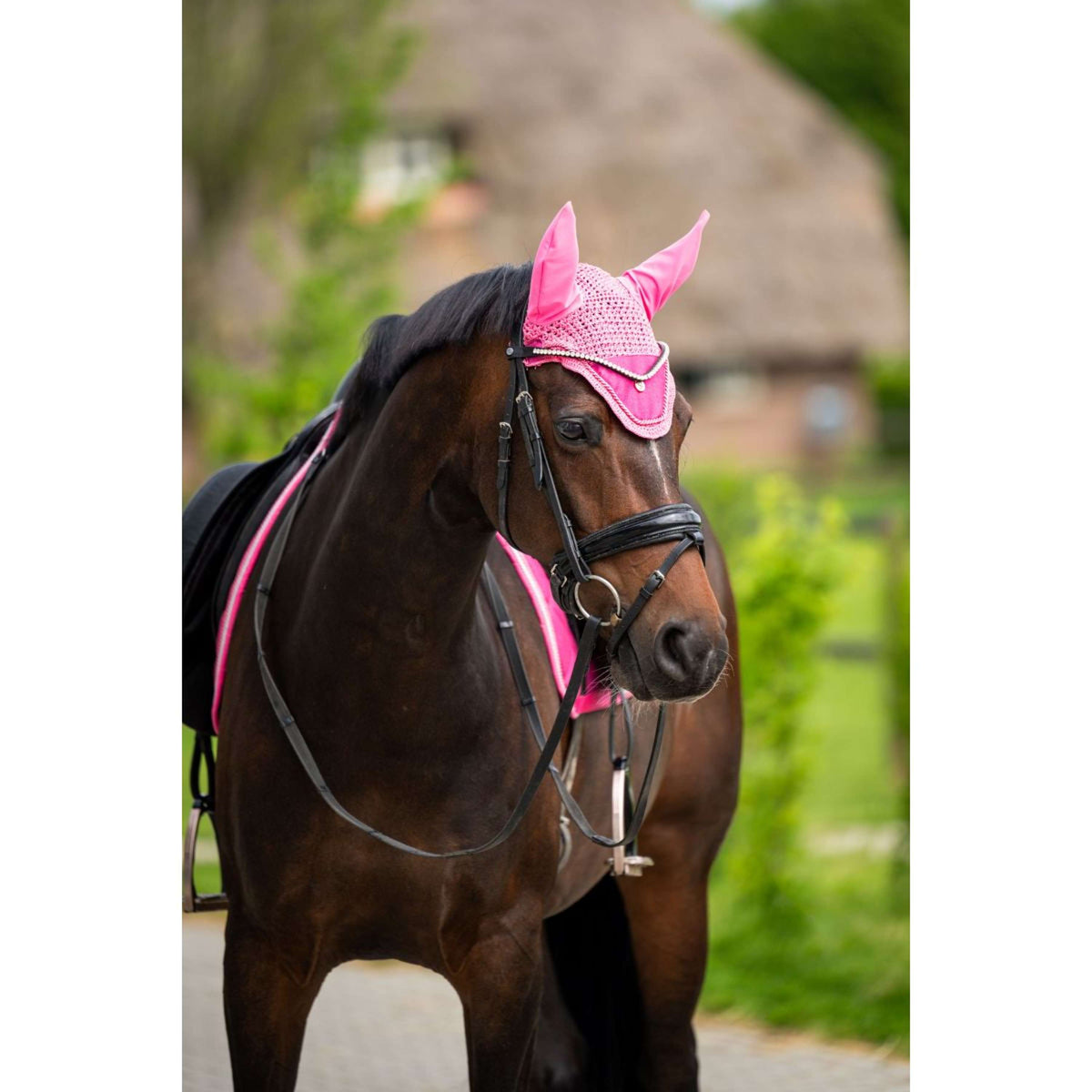 HB Ruitersport Bonete para Orejas Showtime Purpurina Fuchsia