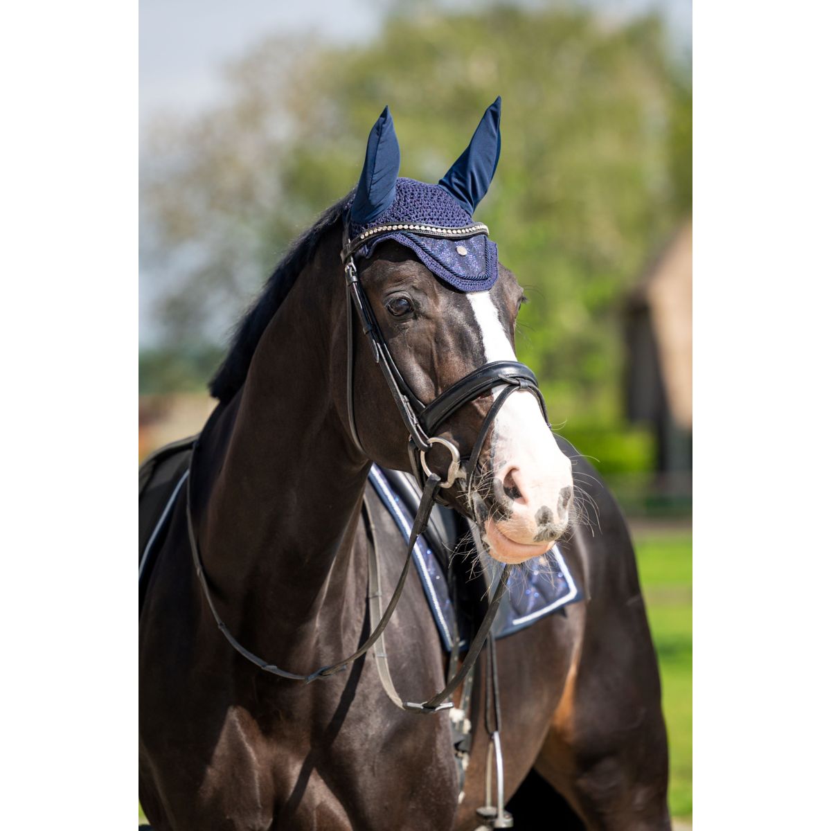 HB Ruitersport Bonete para Orejas Showtime Purpurina Navy