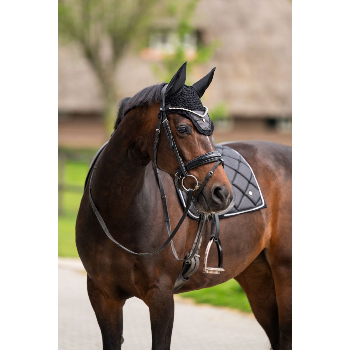 HB Ruitersport Bonete para Orejas Showtime Negro