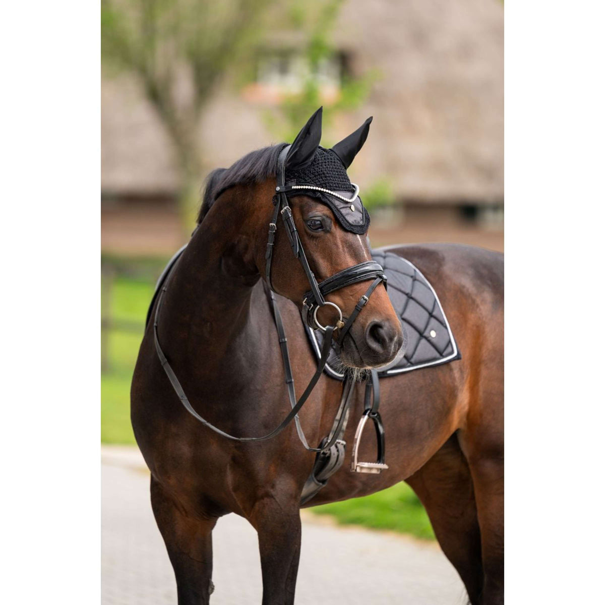 HB Ruitersport Bonete para Orejas Showtime Negro