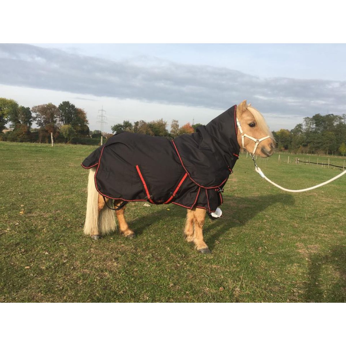 HB Alfombra de Exterior 300g Negro Rojo