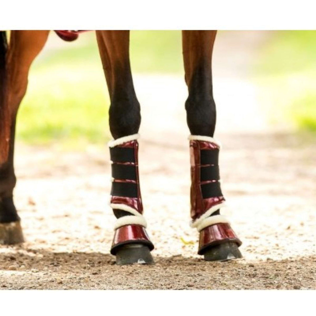 HB Showtime Protectores para Patas Gold Rush con Brillo Bordeaux