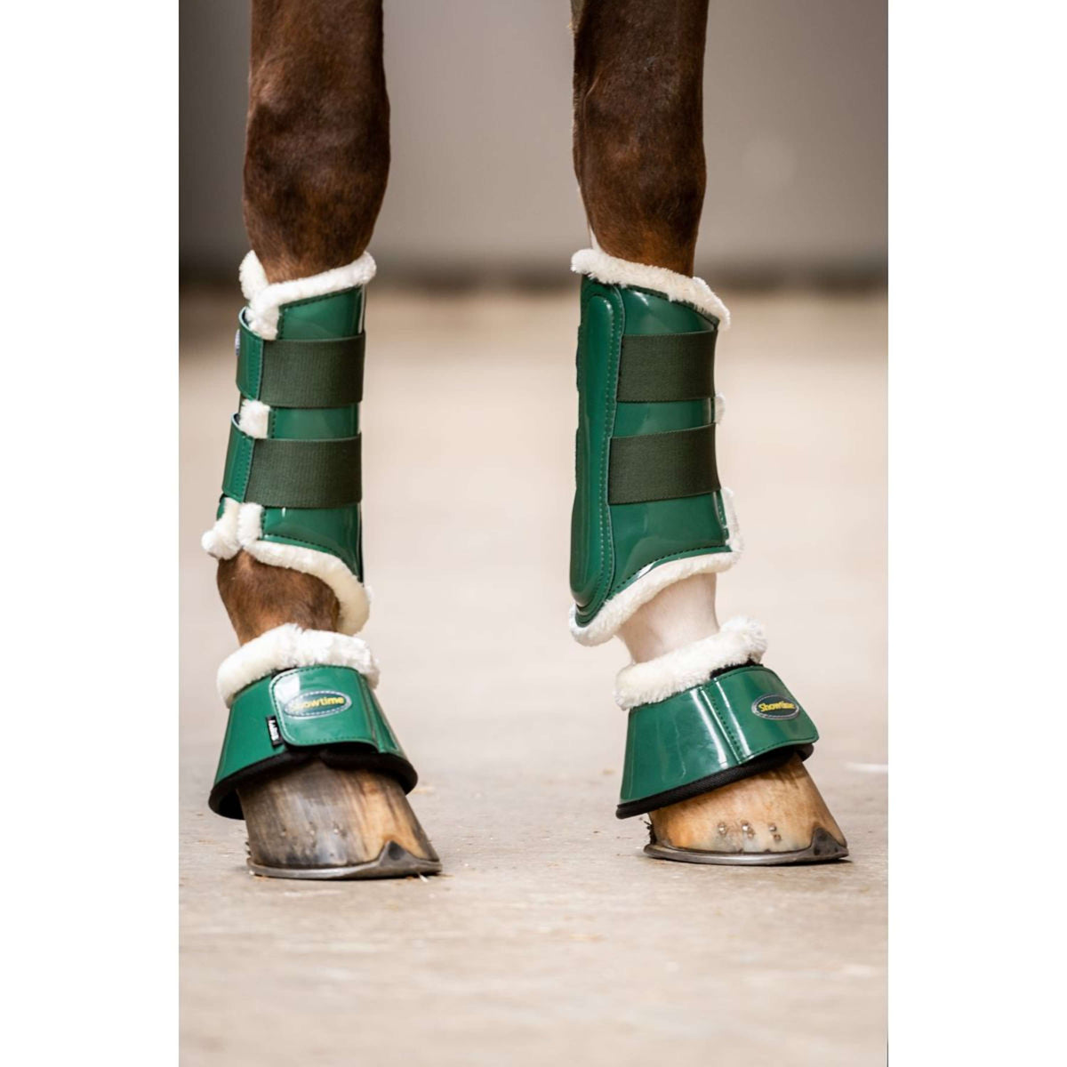 HB Ruitersport Protectores de piernas Crown Verde bosque