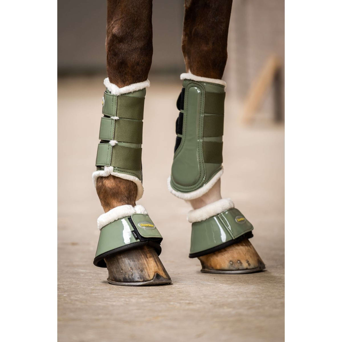 HB Ruitersport Protectores de piernas Crown Verde oliva