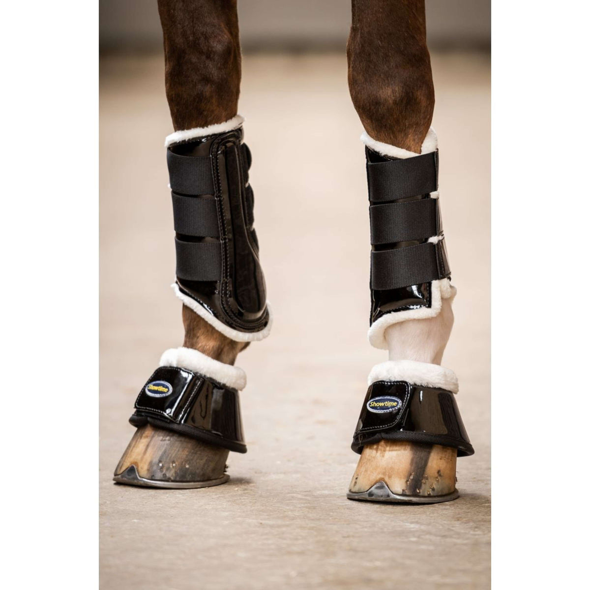 HB Ruitersport Protectores de piernas Crown Negro