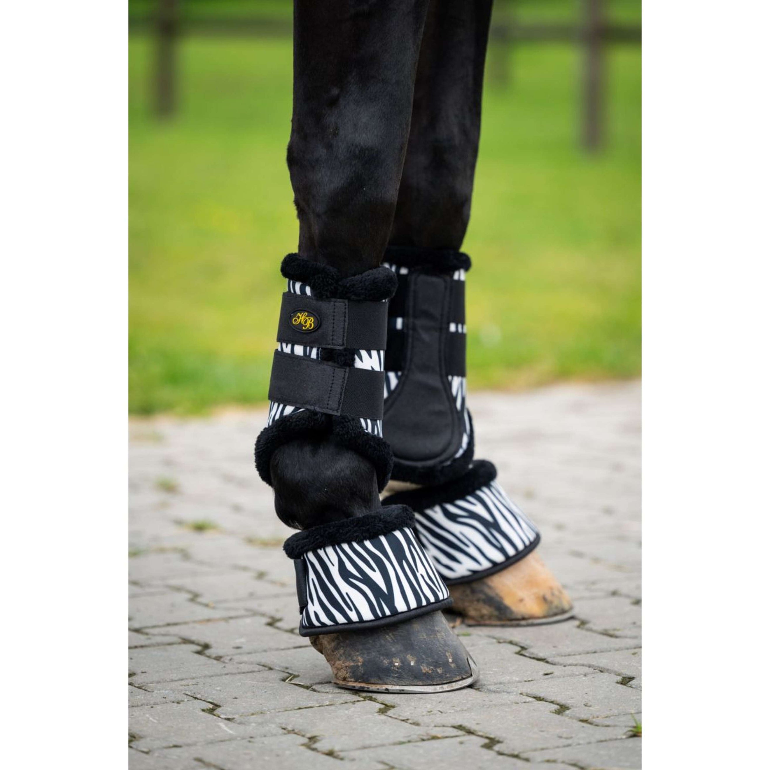 HB Dressage Boots Zebra Negro/Blanco