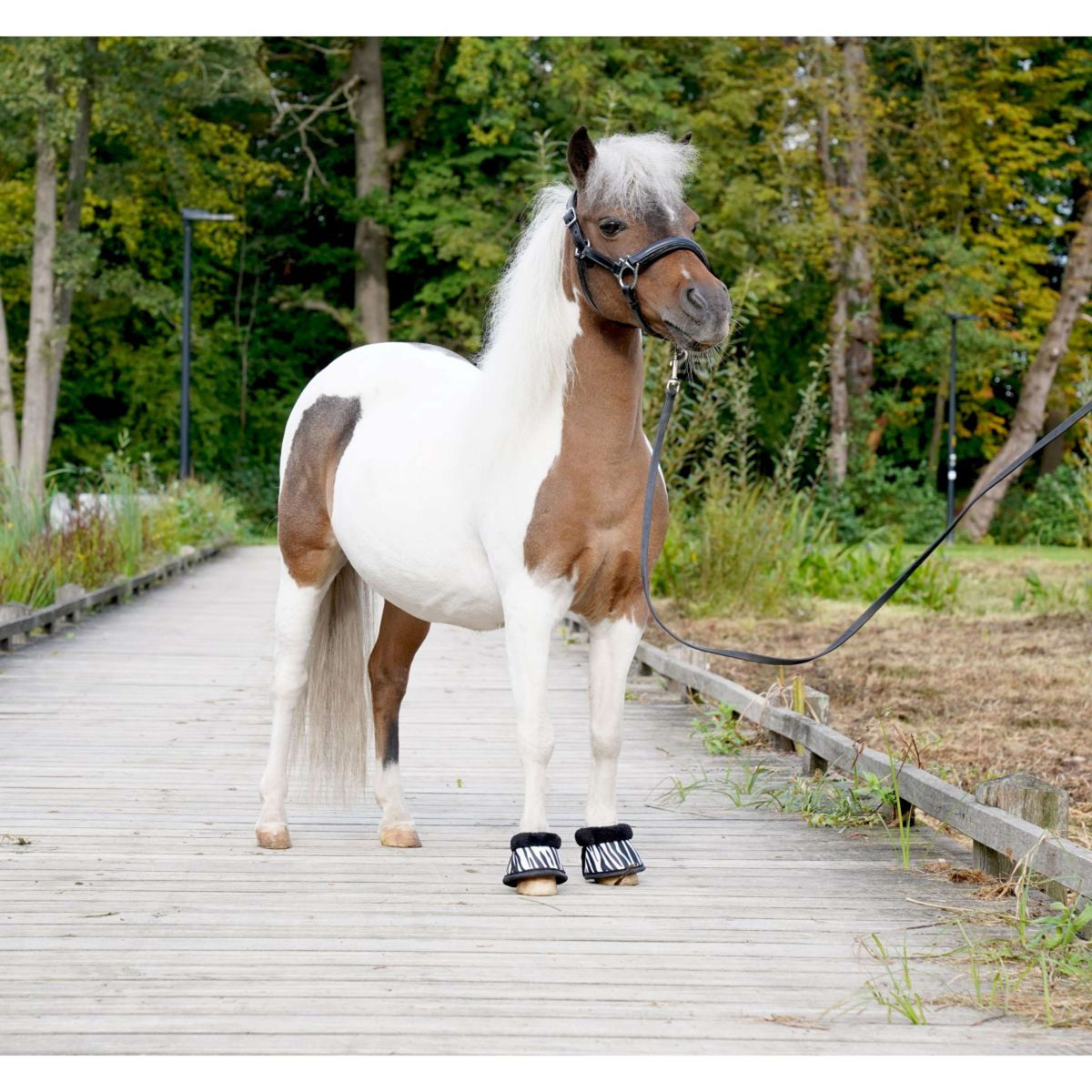 HB Botas de Campana Zebra Negro/Blanco