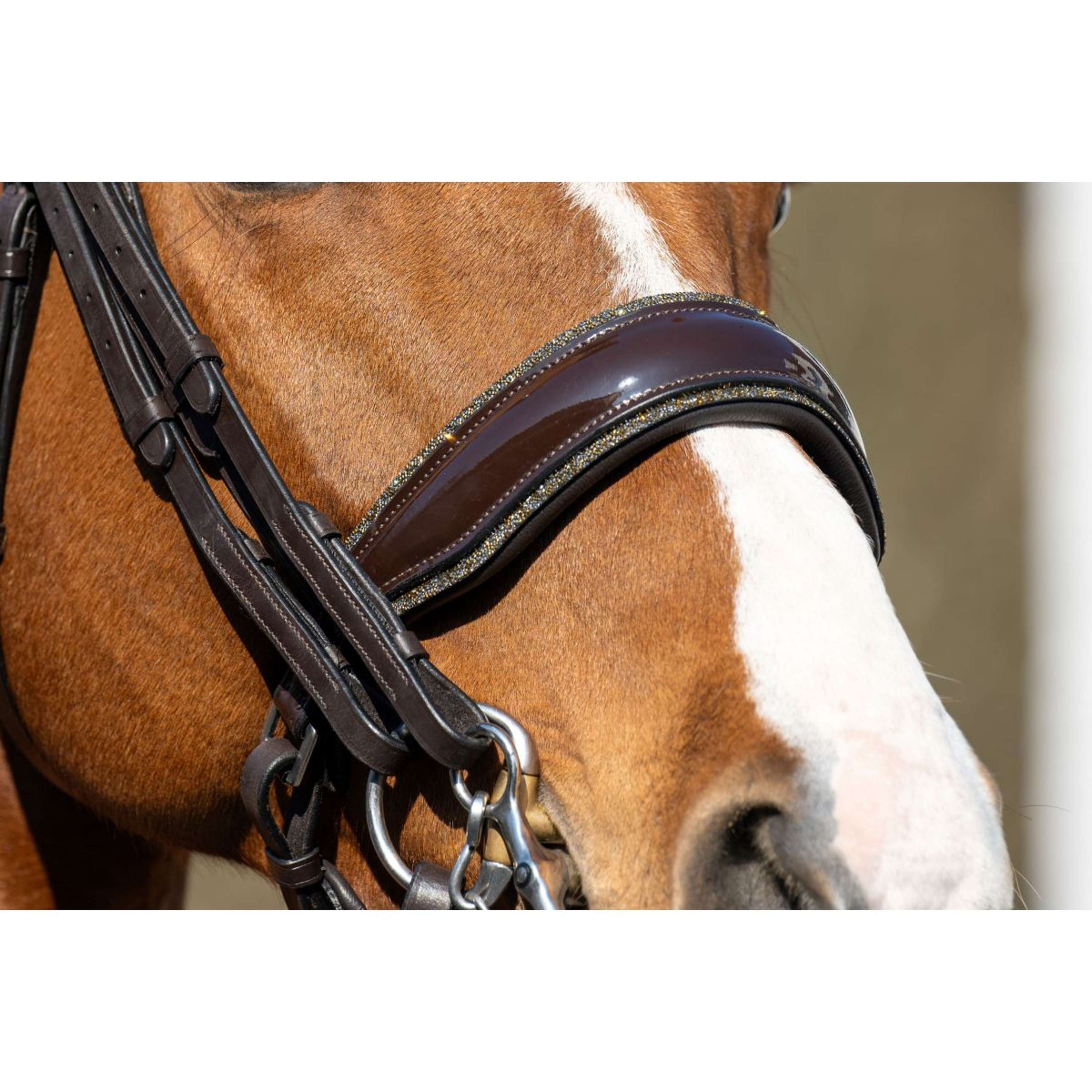 HB Brida Showtime One in a Million Marron/Oro/Amarillo