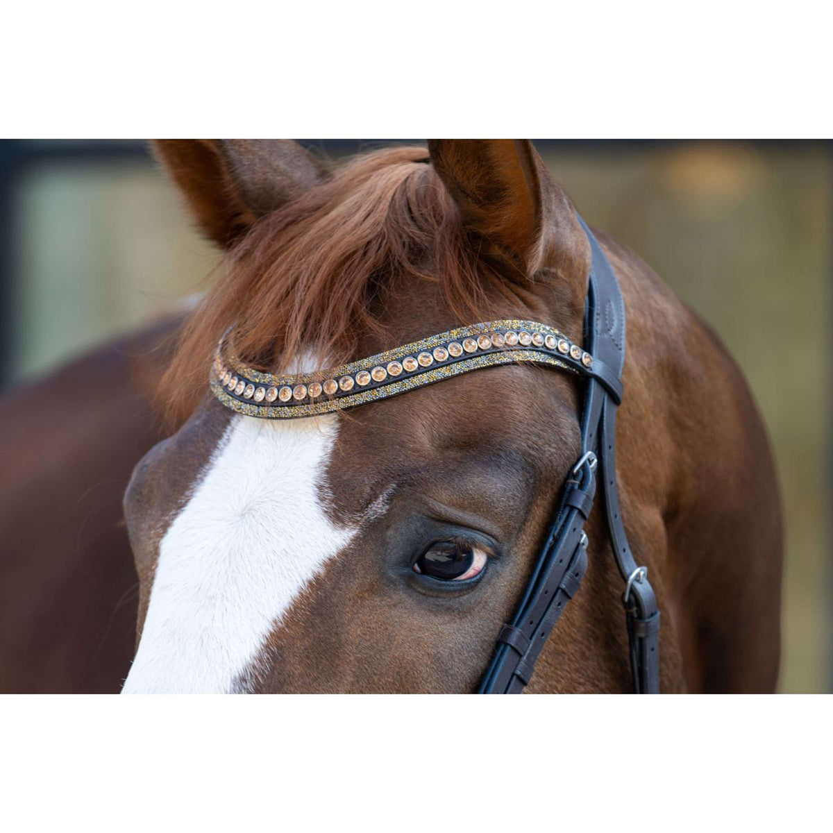 HB Brida Showtime It is So Special Marron<>Oro<>Amarillo