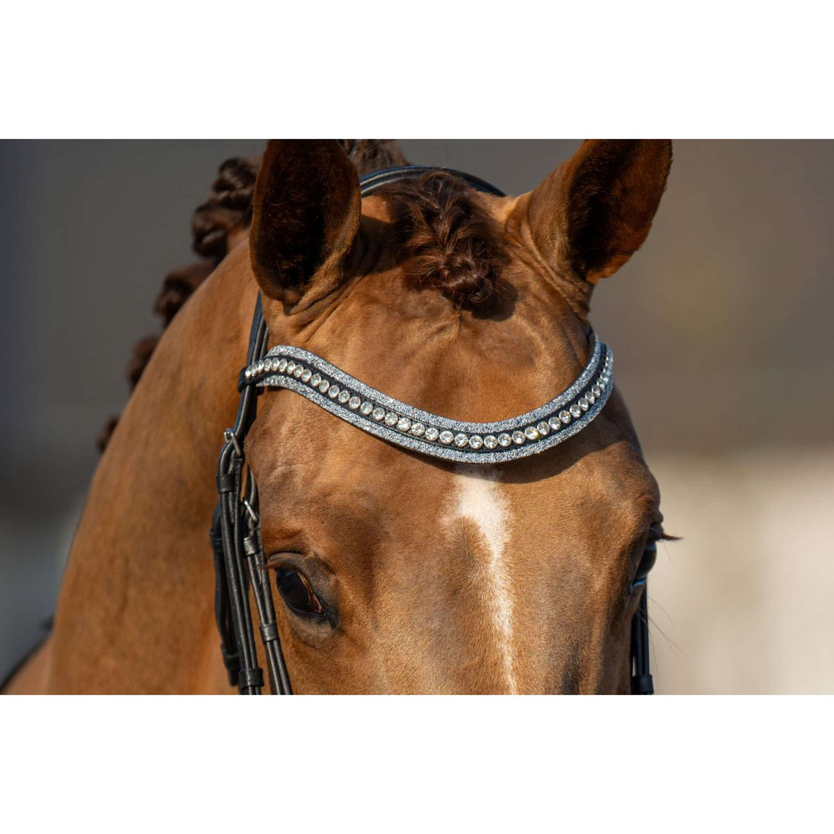 HB Brida Showtime It is So Special Brillo negro/plateado.