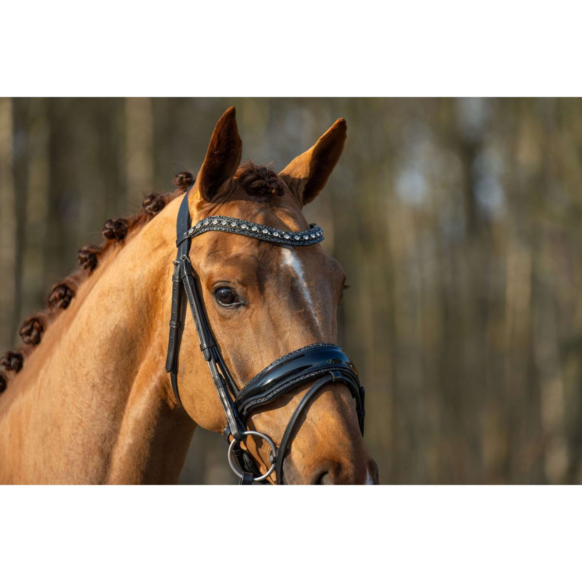 HB Brida Showtime It is So Special Negro/Negro Brillo