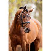 HB Conjunto de capota Different Change Marron