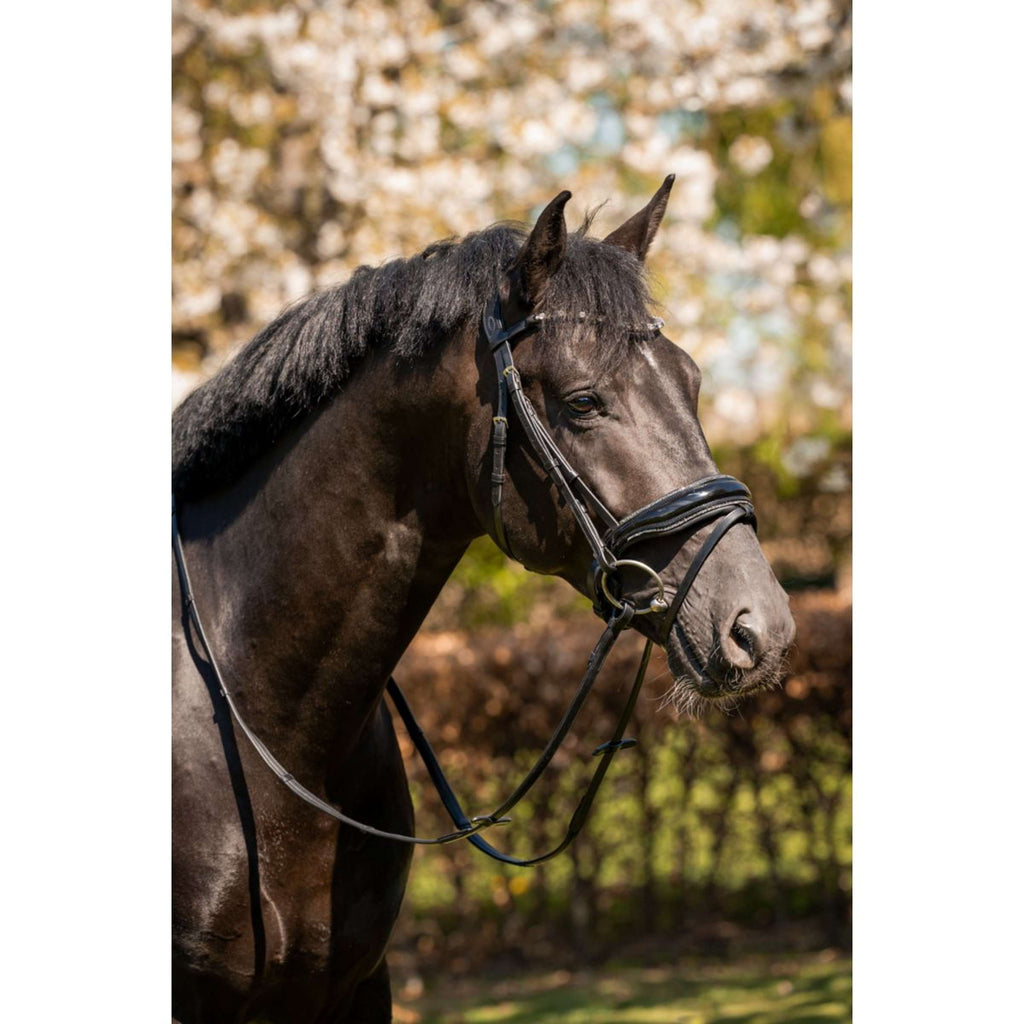 HB Brida Evalira Glitter Negro Gris