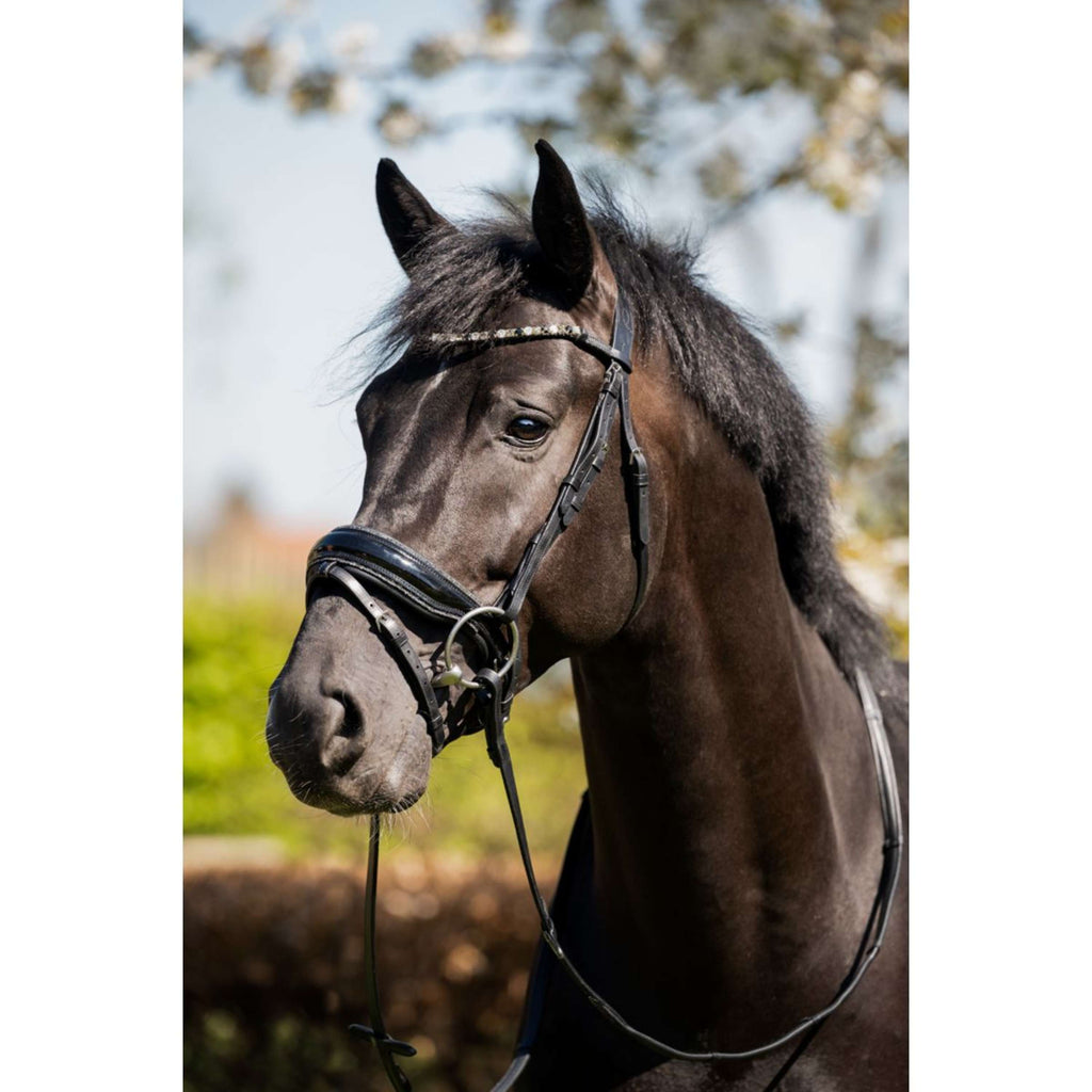 HB Brida Evalira Glitter Negro Gris