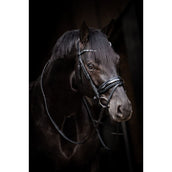 HB Brida Showtime Evalira Azul/Negro