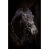 HB Brida Showtime Evalira Azul/Negro