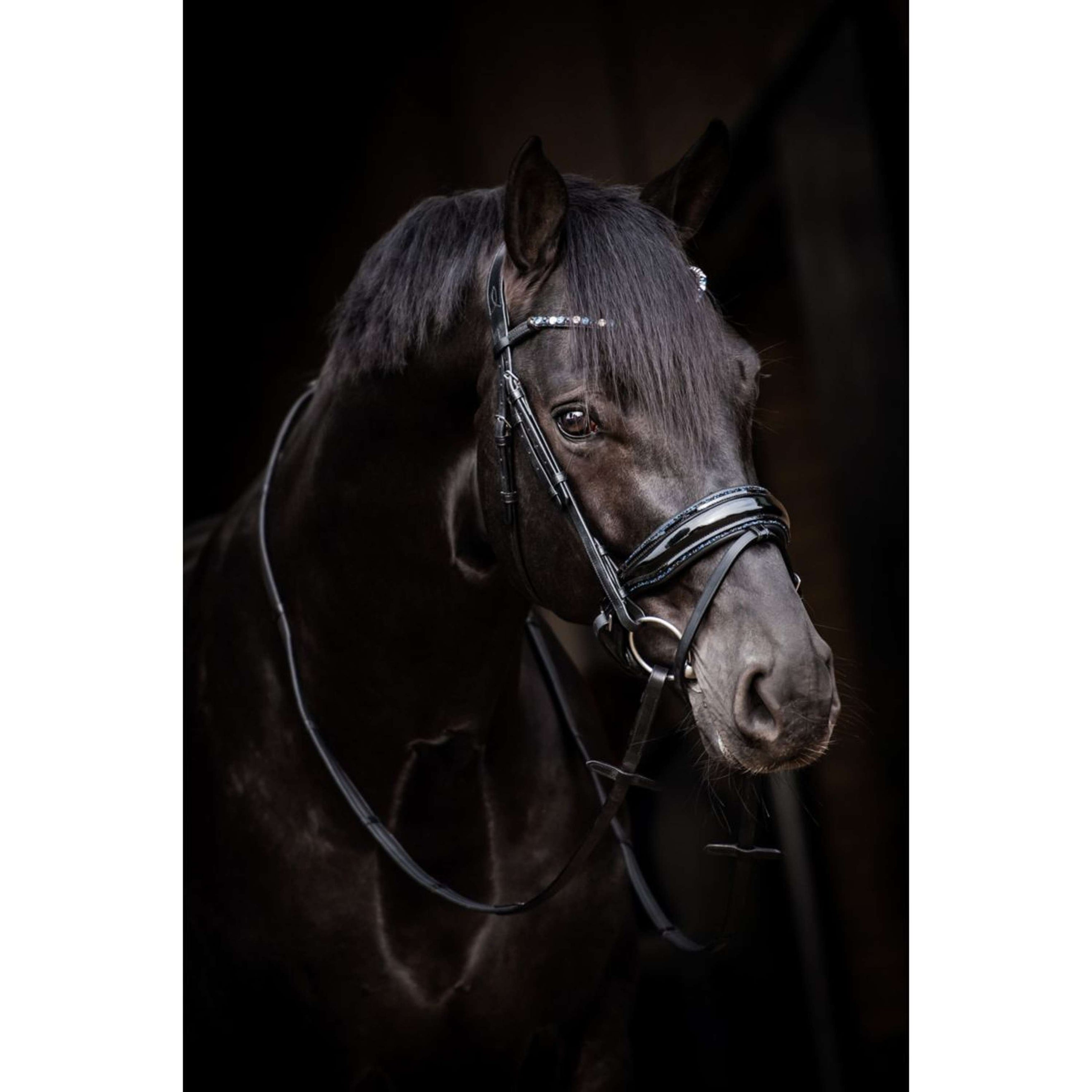 HB Brida Showtime Evalira Azul/Negro HB Brida Showtime Evalira Azul/Negro